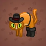 Scared Cat #16964 Scared Cat #16964