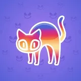Scared Cat #16972 Scared Cat #16972