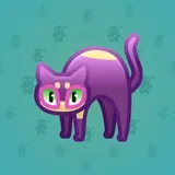 Scared Cat #17024 Scared Cat #17024