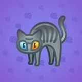 Scared Cat #17204 Scared Cat #17204