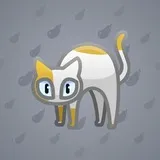 Scared Cat #1735 Scared Cat #1735