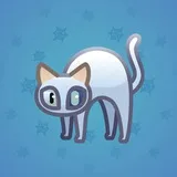 Scared Cat #17453 Scared Cat #17453