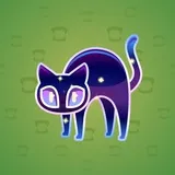Scared Cat #17547 Scared Cat #17547