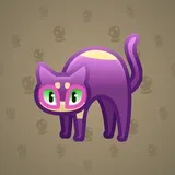 Scared Cat #17556 Scared Cat #17556