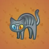 Scared Cat #17616 Scared Cat #17616