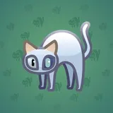 Scared Cat #17636 Scared Cat #17636