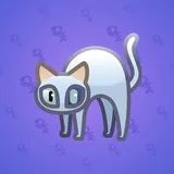 Scared Cat #17701 Scared Cat #17701