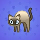 Scared Cat #17745 Scared Cat #17745