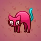 Scared Cat #17757 Scared Cat #17757