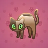Scared Cat #17759 Scared Cat #17759