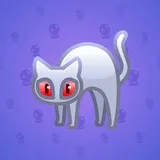 Scared Cat #17800 Scared Cat #17800