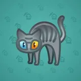 Scared Cat #17801 Scared Cat #17801