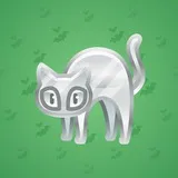 Scared Cat #2013 Scared Cat #2013
