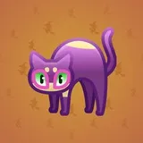 Scared Cat #2064 Scared Cat #2064