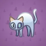Scared Cat #2073 Scared Cat #2073