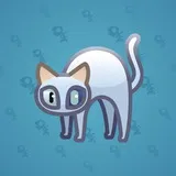 Scared Cat #2118 Scared Cat #2118