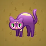 Scared Cat #213 Scared Cat #213