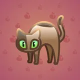 Scared Cat #2337 Scared Cat #2337