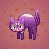 Scared Cat #2348 Scared Cat #2348