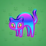 Scared Cat #2437 Scared Cat #2437