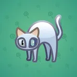Scared Cat #2606 Scared Cat #2606