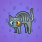 Scared Cat #2713 Scared Cat #2713