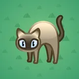 Scared Cat #3065 Scared Cat #3065