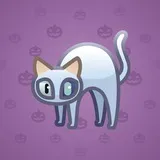 Scared Cat #311 Scared Cat #311