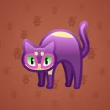 Scared Cat #3255 Scared Cat #3255