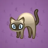 Scared Cat #33 Scared Cat #33