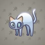Scared Cat #3352 Scared Cat #3352