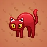 Scared Cat #3493 Scared Cat #3493