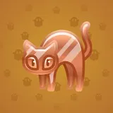 Scared Cat #353 Scared Cat #353