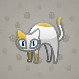 Scared Cat #3546 Scared Cat #3546