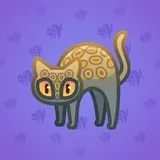 Scared Cat #3567 Scared Cat #3567