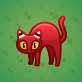 Scared Cat #3581 Scared Cat #3581