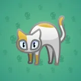 Scared Cat #3613 Scared Cat #3613