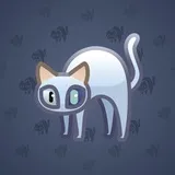 Scared Cat #3645 Scared Cat #3645
