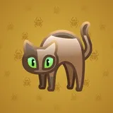 Scared Cat #3776 Scared Cat #3776