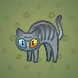 Scared Cat #3797 Scared Cat #3797