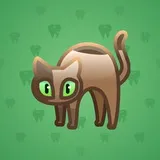 Scared Cat #3971 Scared Cat #3971
