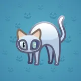 Scared Cat #4060 Scared Cat #4060