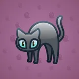 Scared Cat #4154 Scared Cat #4154