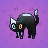 Scared Cat #4508 Scared Cat #4508