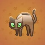 Scared Cat #4516 Scared Cat #4516