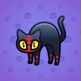 Scared Cat #465 Scared Cat #465