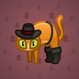 Scared Cat #466 Scared Cat #466