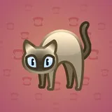 Scared Cat #4774 Scared Cat #4774
