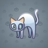 Scared Cat #479