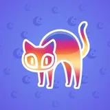 Scared Cat #4898